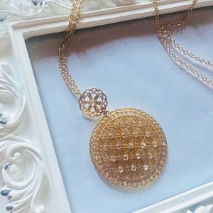 Gold Rhinestone Net Nacklace✨